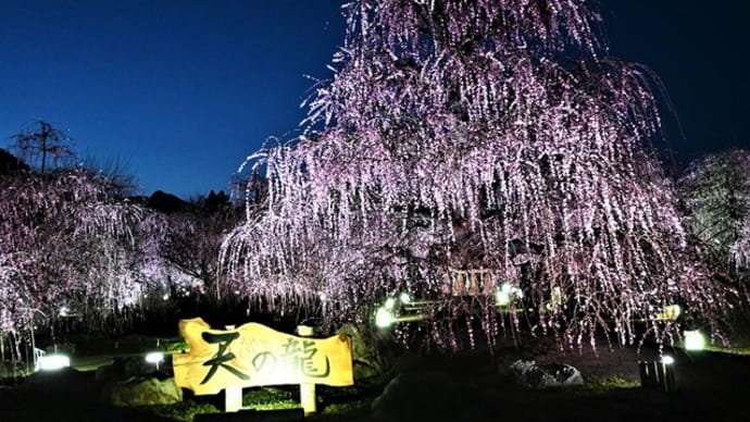 「天の龍」・「地の龍」 ~鈴鹿の森庭園 ②