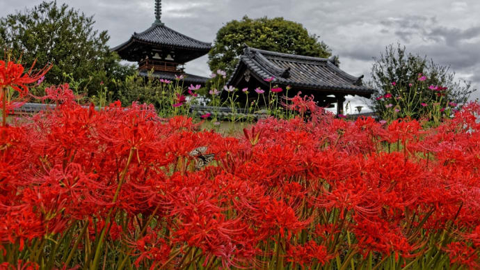法起寺前の彼岸花