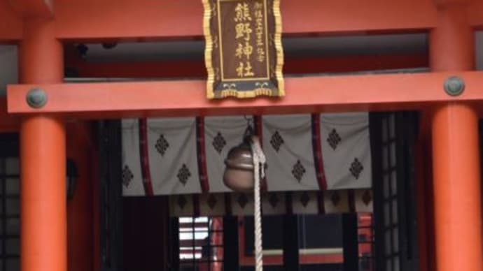 板橋の熊野神社鳥居とこいのぼりが一面　　　27