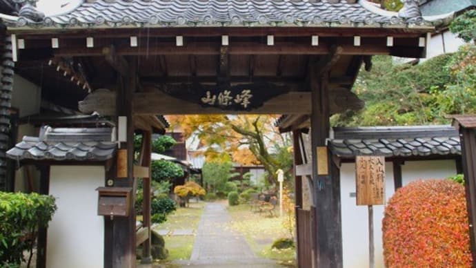 楠妣庵観音寺の紅葉