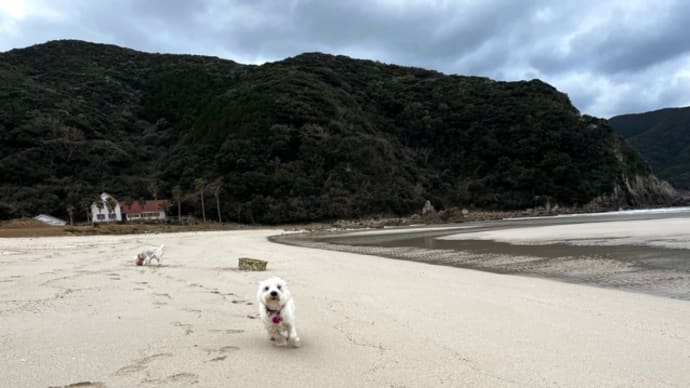 ウユニ塩湖…もどき