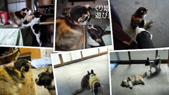 春の嵐