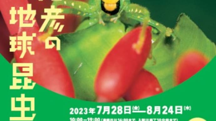 東京ミッドタウンを1周する。