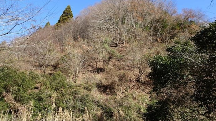 西山の郷 整備されたハイキングルートと周辺
