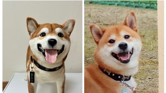 柴犬　どん吉くん　どん吉パークについて