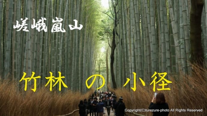 2023 嵯峨嵐山・竹林の小径