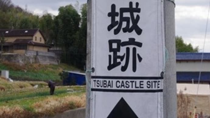 椿井城跡へ登ってきました