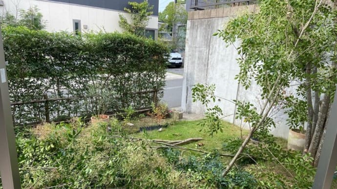 スズメバチの営巣を阻止