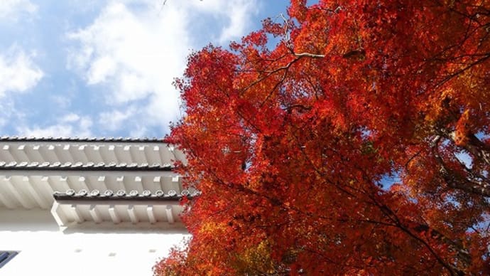 お城の紅葉