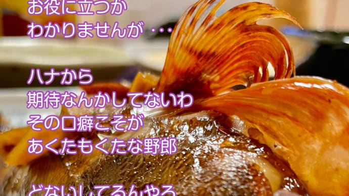 あくたもくた / ラグの写真詩