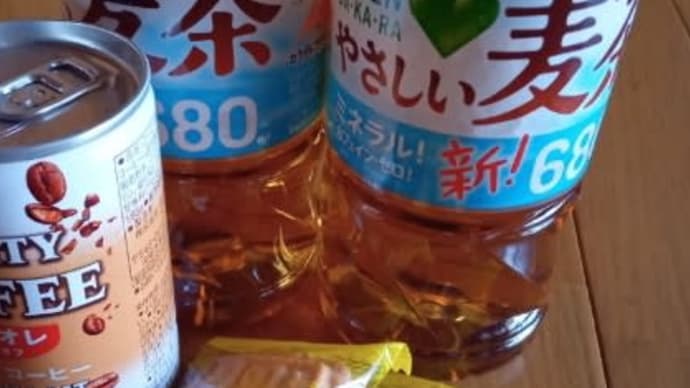 藤田ニコル体型の女