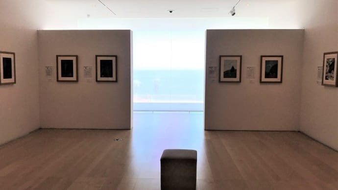 海辺の美術館にて