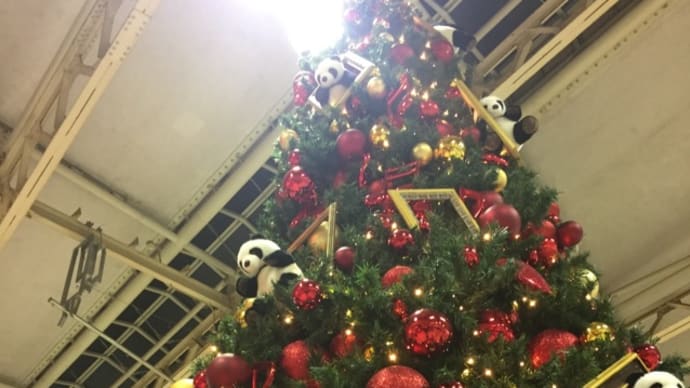 上野駅のクリスマスツリー