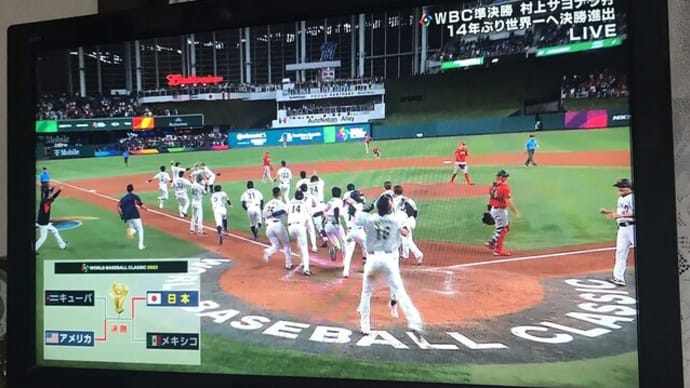 勝ちましたねぇ!(^▽^)