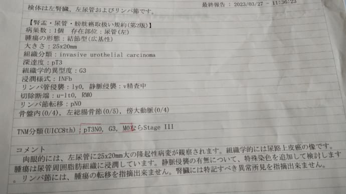 今頃ですが