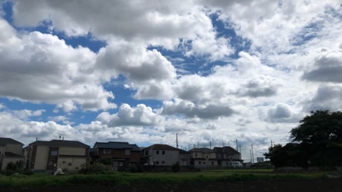 おうち居酒屋臨時休業