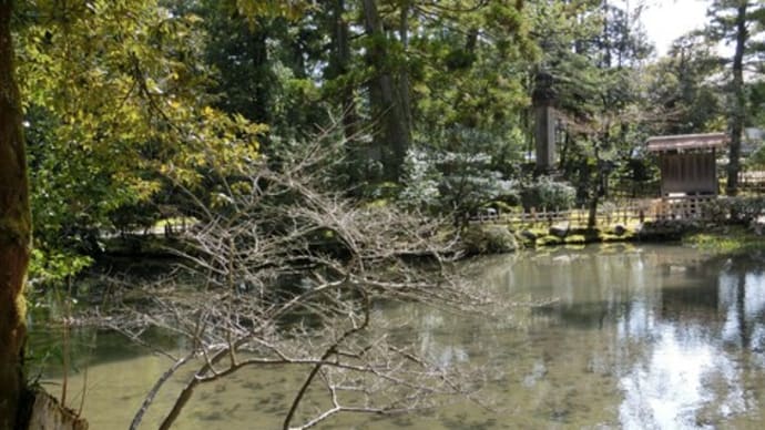 金沢　金澤霊澤、放生池、金沢神社