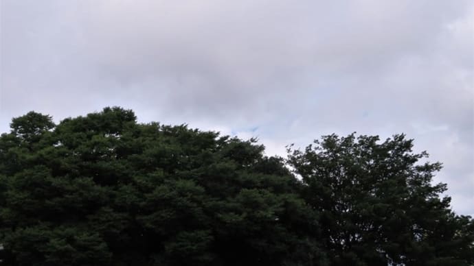 ちょっとだけの青空でした。