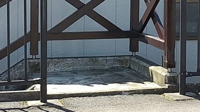 あれは…ナニ?