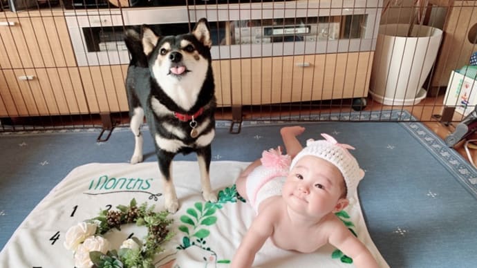 月齢フォト6ヶ月目