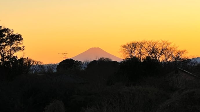 今年もよろしくお願いいたします。