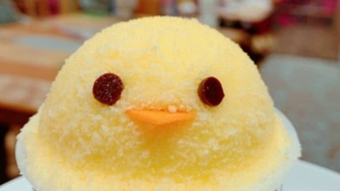 ❤️ピヨピヨ❤️ピヨピヨ❤️ピヨピヨ❤️