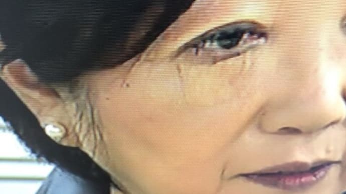 【小池知事】渋谷の若者向けワクチン大失敗の件に答弁せず(証拠動画あり)