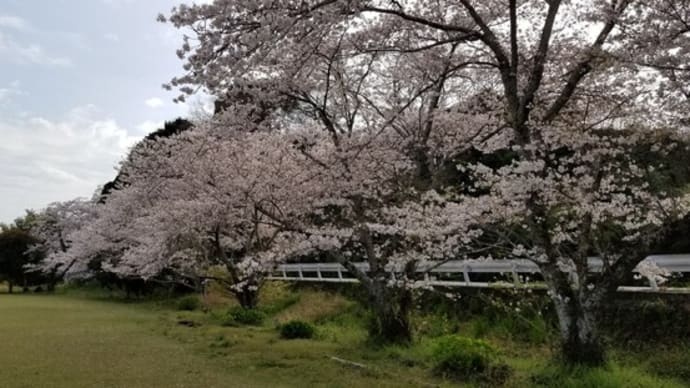 今一瞬身構えたよね。。