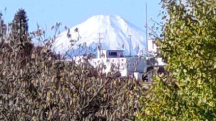 医療費の還付金お知らせが来た&内風呂の値段&冠雪の富士