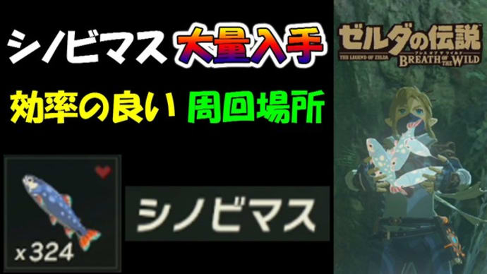 【ゼルダの伝説BotW】 シノビマス大量入手　効率の良い周回場所