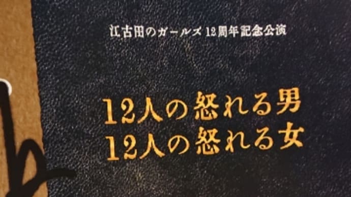 【迫力】12人の怒れる女