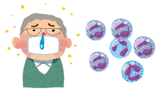 年内最後の受診で好酸球数が増えた件