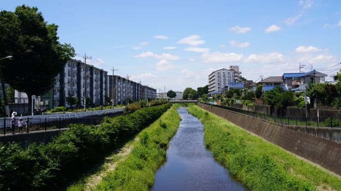 さわやかな秋晴れの中、皇帝ダイアは彩(いろど)り、私は感謝を重ねて・・。