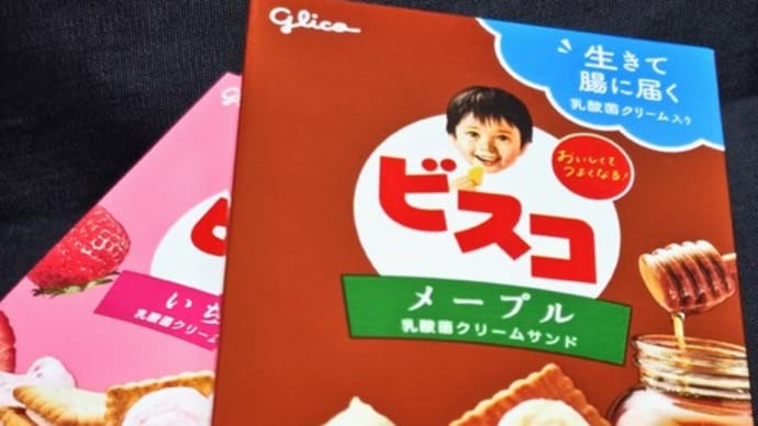 ハマっております♪