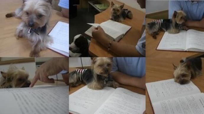 3月はBuddyDog中毒予防啓発月間です。