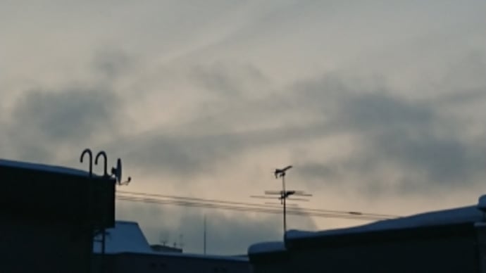 すこし、春っぽい?札幌