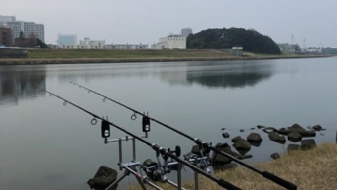 1月27日の鯉釣り