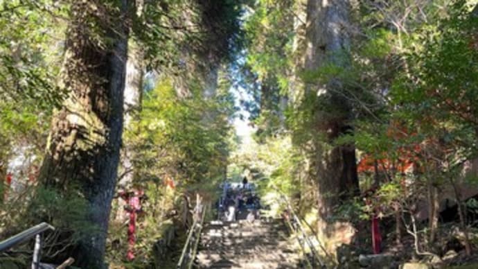 愛犬はなの大好きな箱根神社&九頭龍神社へ