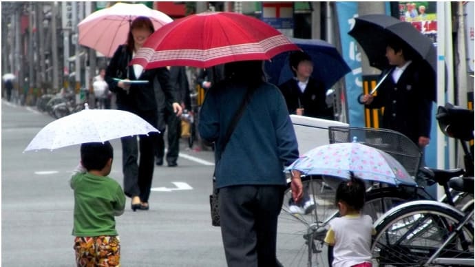 雨の小径