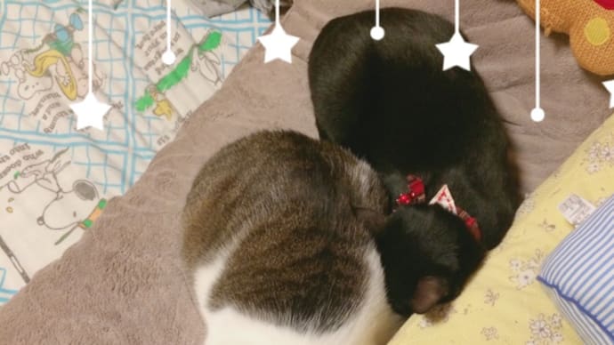 5月24日、月曜日です