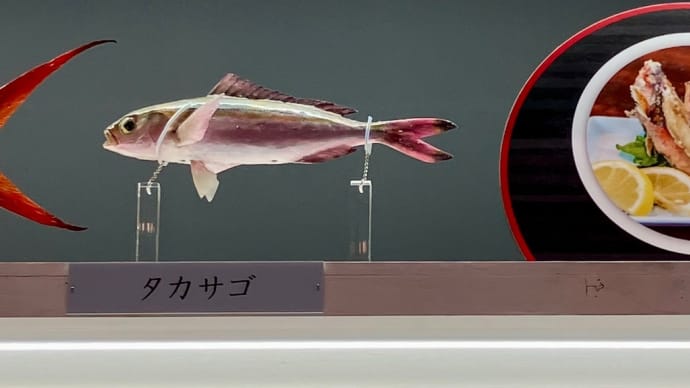 「あなたでしたか」