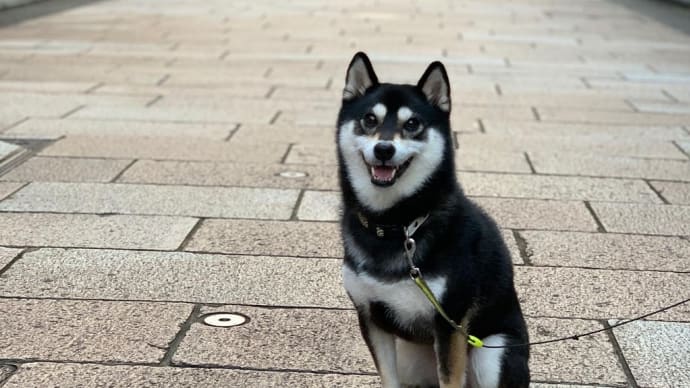 AZUKI能登へ行く①