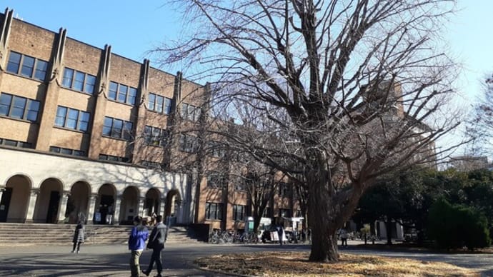 東京大学農学部の黄葉終焉