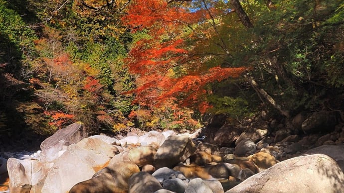 ★阿寺渓谷の紅葉🍁② 2023