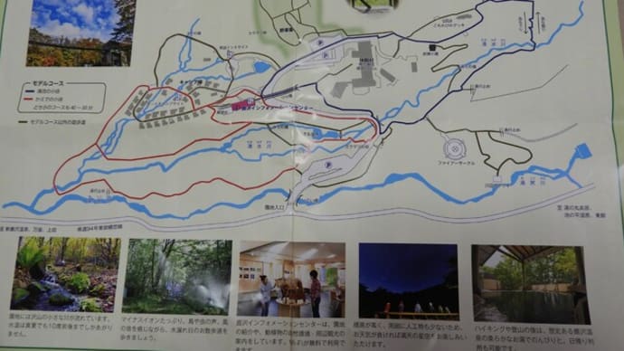 最後は 散策 と ダックツアー です(笑)