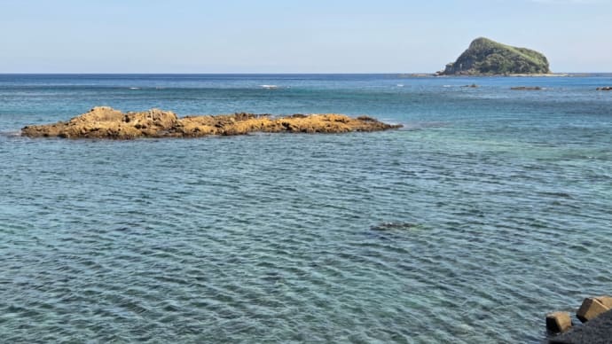 今日の釣り 4月24日(木)