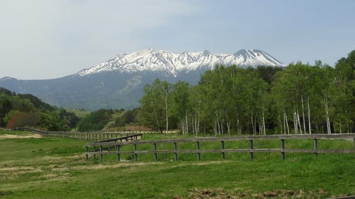 平日は静かです
