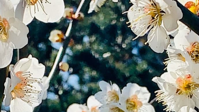 なんだかね。。。