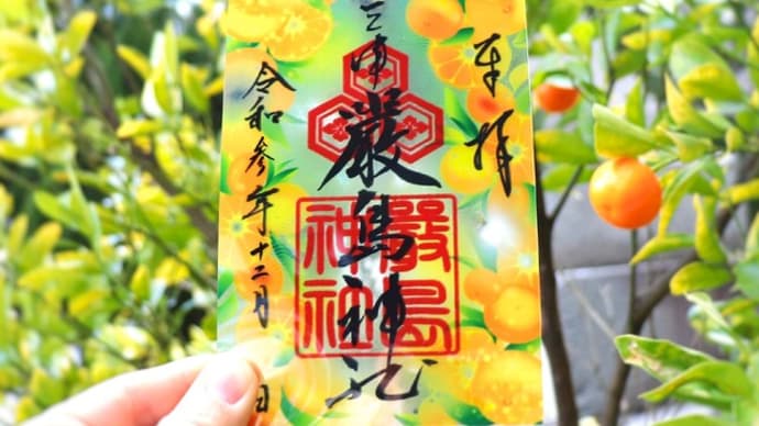 🍊境内の橘とクリア御朱印🍊