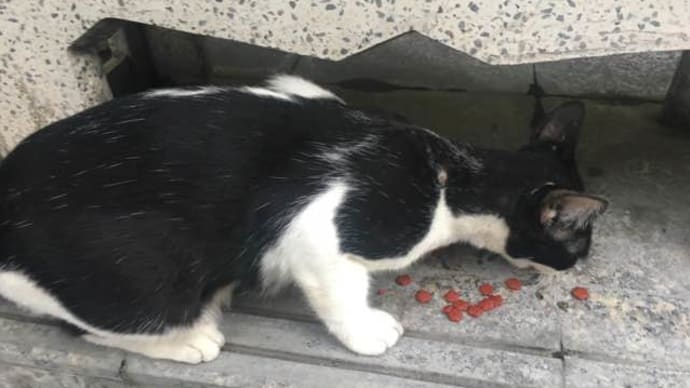帰り道の出来事。